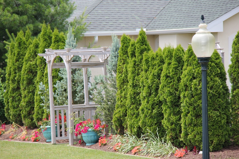 garden gate