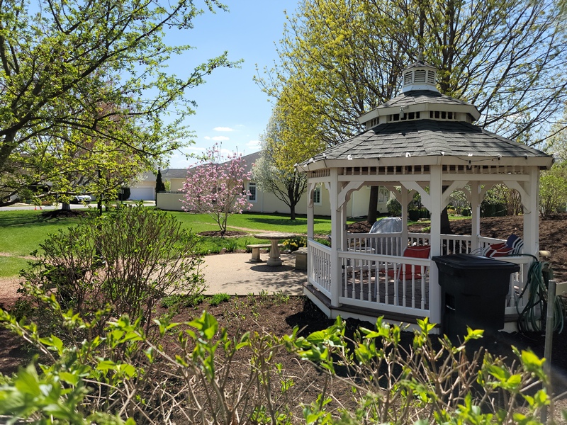 gazebo